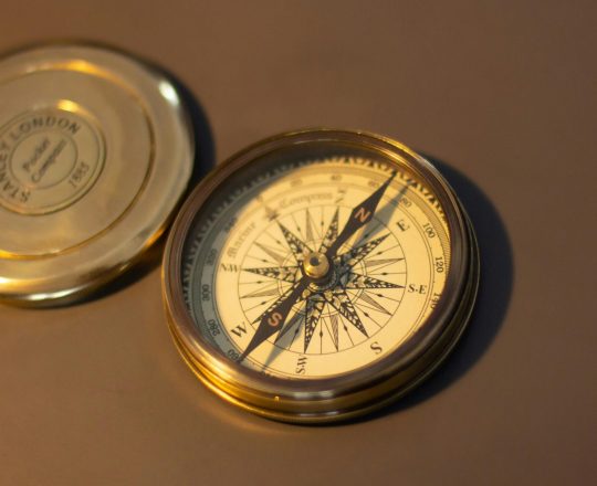 pexels-joeofcochin-6593994